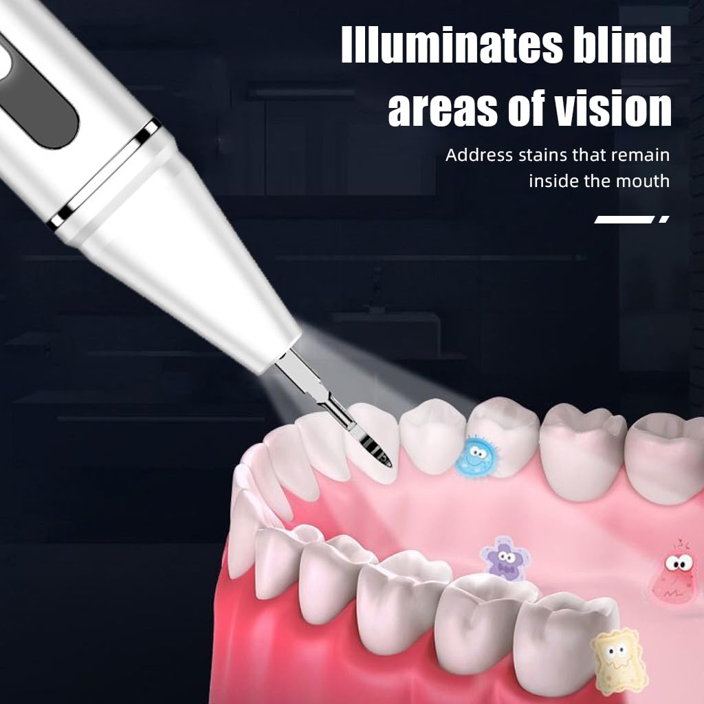 HANNEA Teeth Whitening Kit for Plaque and Tartar Removal with 3 Modes LED Light and 4 Stainless Steel Bits | USB Rechargeable Oral Cleaning Tool