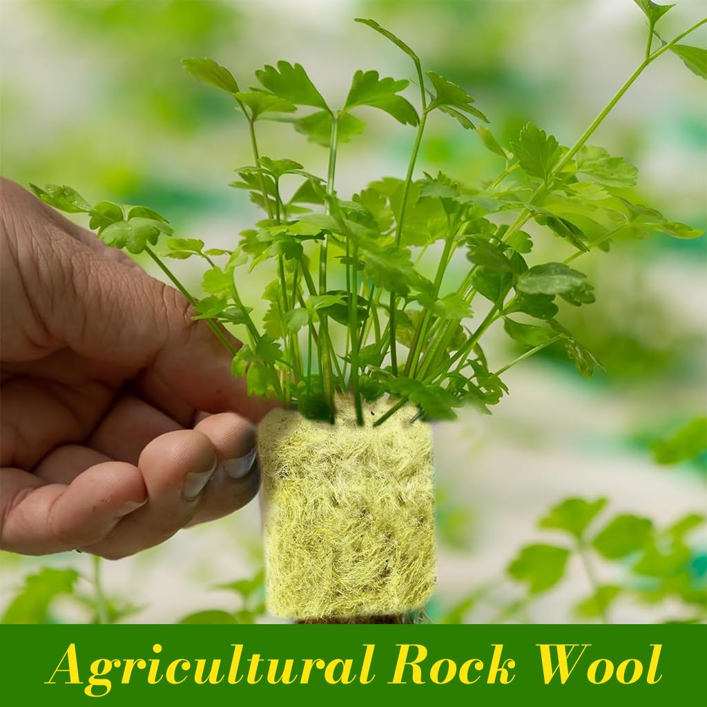 HASTHIP Seed Starter Rockwool for Germination and Cloning with 50 pcs 1 in Cubes | High Density Stonewool for Hydroponic Vegetables and Herbs