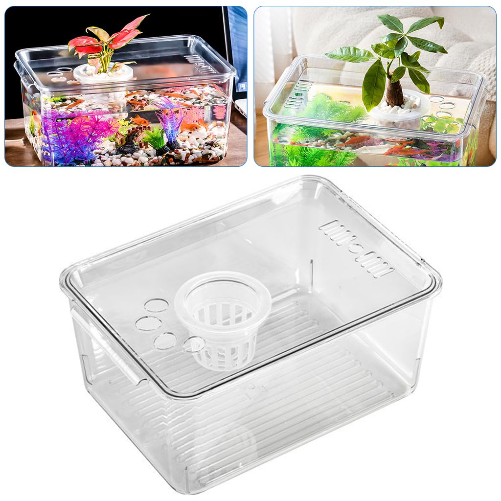 Qpets Desk Small Fish Tank for Home Office with 35x24cm Design and Air Ventilation Lid | Clear PP Betta Aquarium featuring Built in Hydroponic Basket
