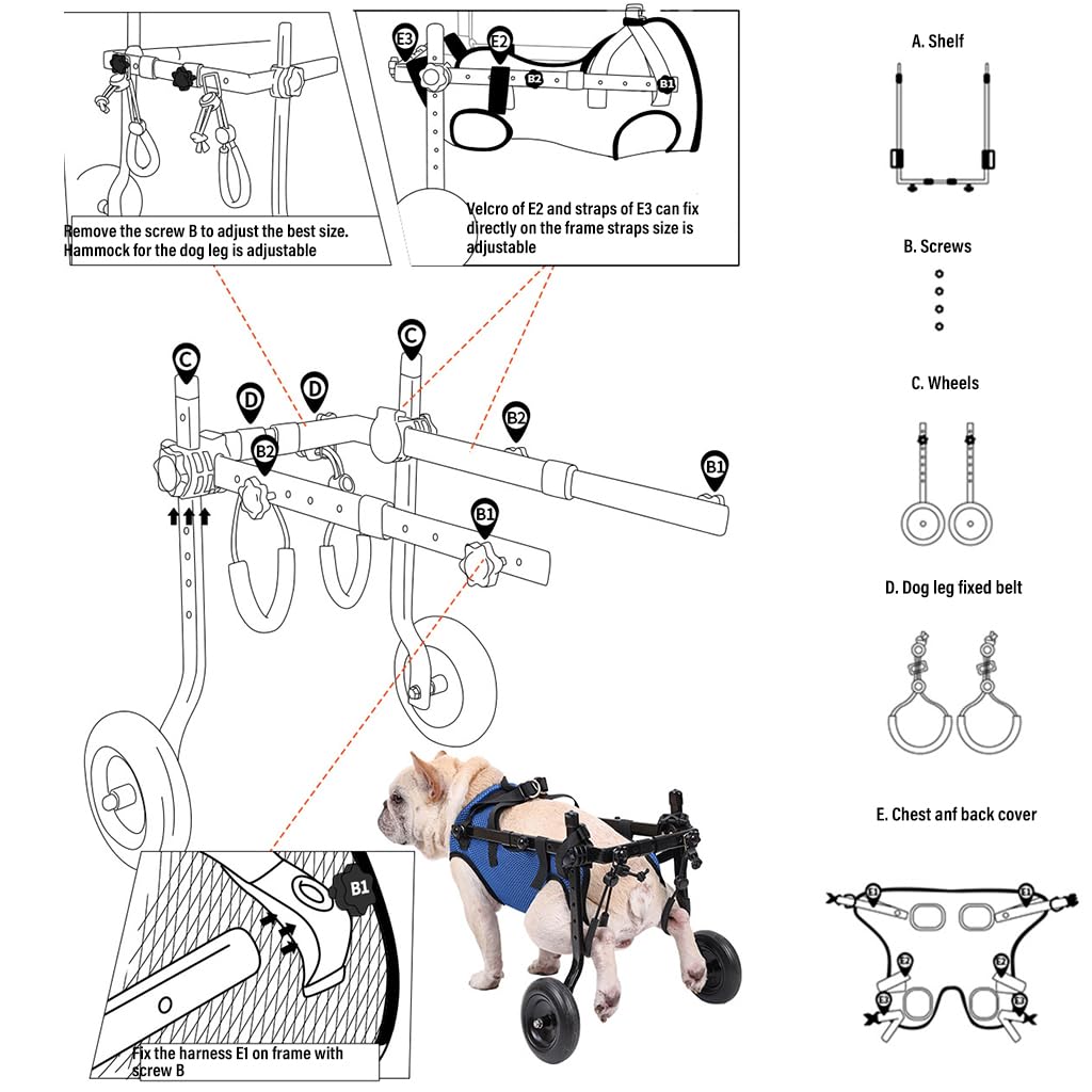 Qpets Dog Wheelchair for Back Legs featuring Double Ring Leash Design and Nylon Frame | Adjustable Fit for Small Disabled Dogs