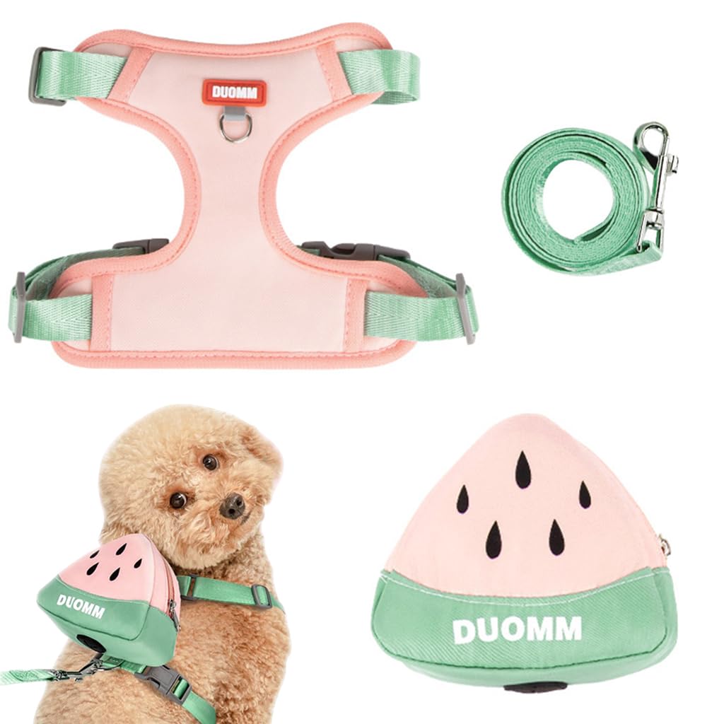 Qpets Dog Harness Vest for Small Breeds with 4 Way Adjustable Fit and Zipper Pouch | Breathable Mesh Comfort