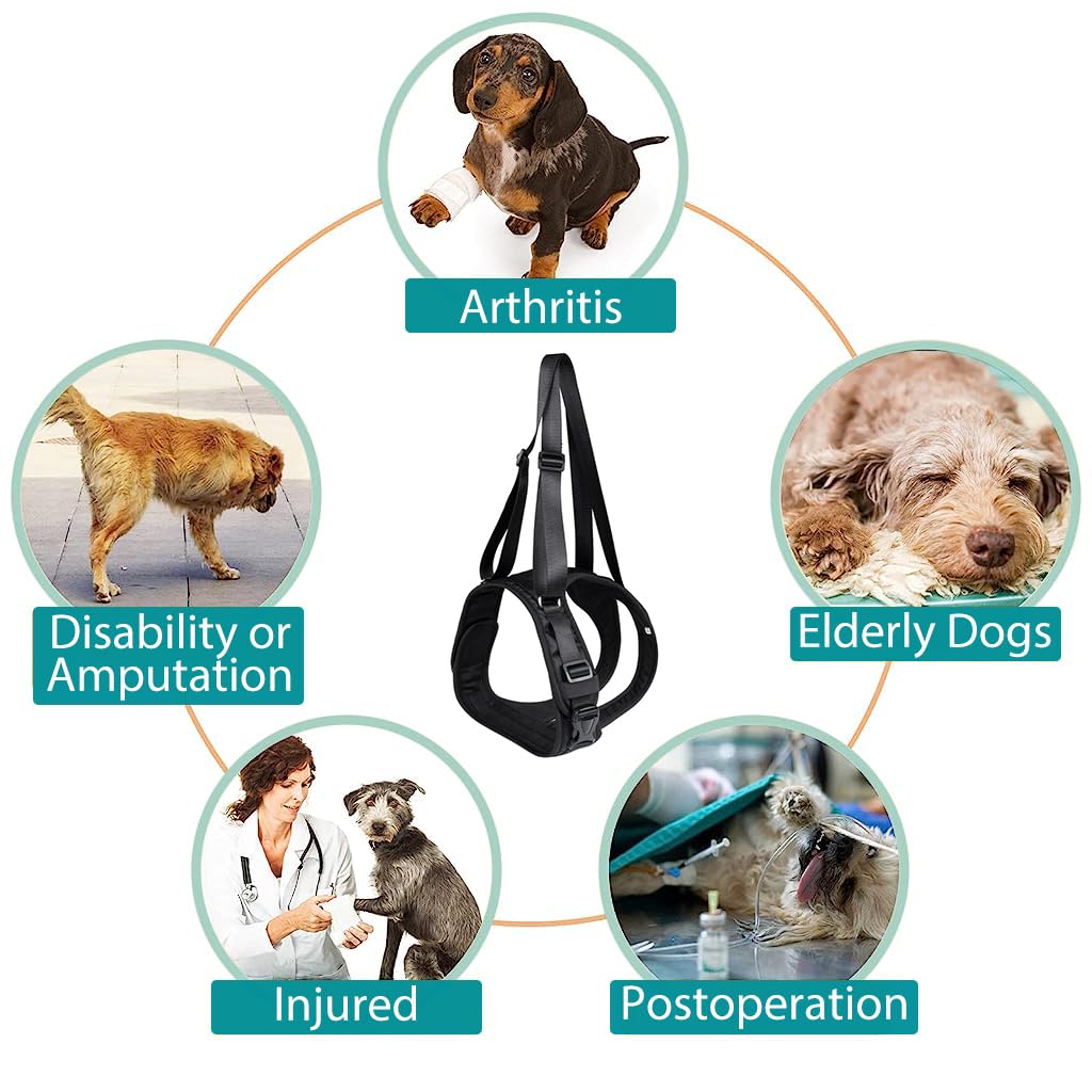 Qpets Dog Lift Harness for Rear Legs with Two Adjustable Lifting Straps 45–56cm Fit | Walking Support for Aging and Injured Dogs