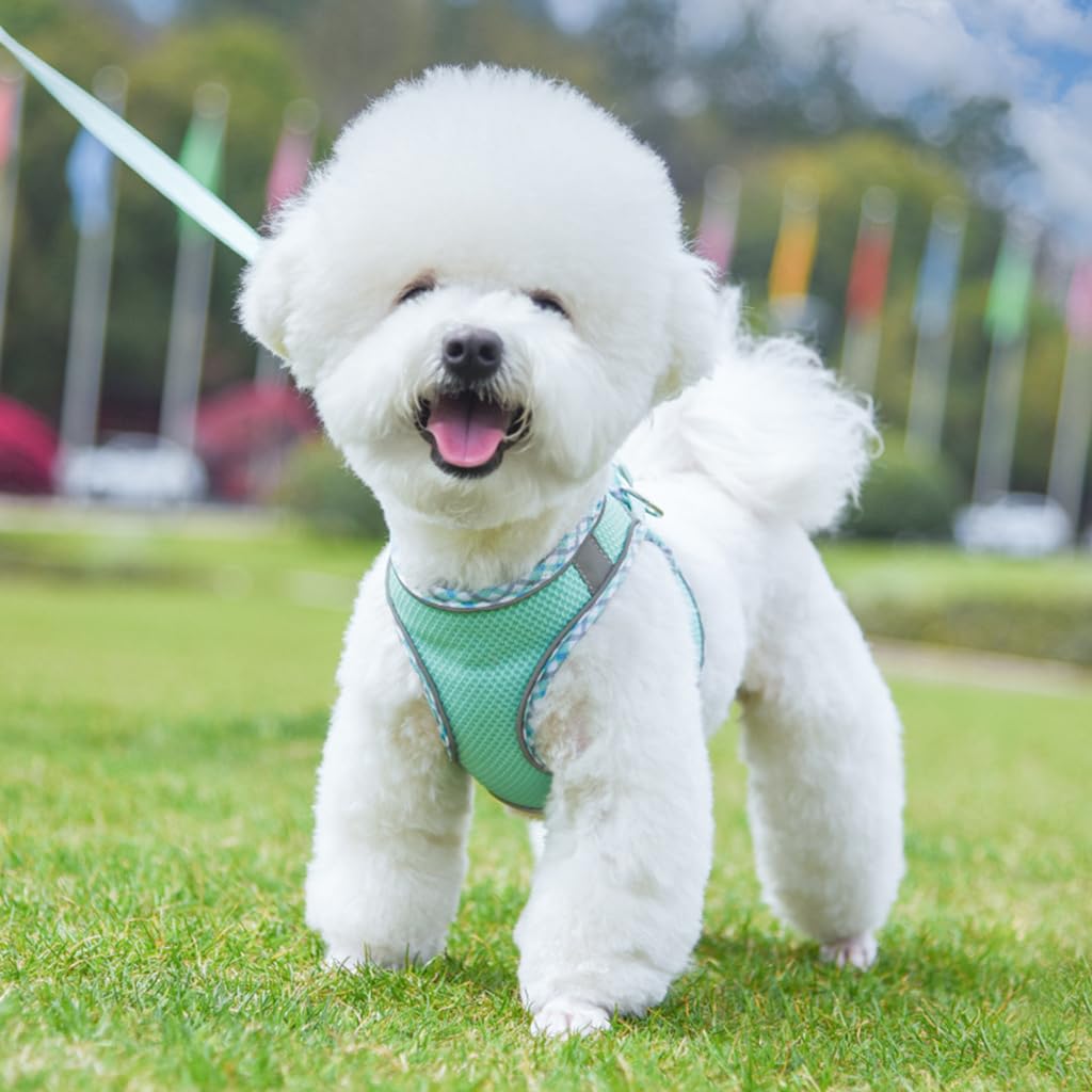Qpets Small Dog Harness, 4.9Ft Dog Leash Breathable Mesh Pet Harness Small Dog Vest Harness with Safe Reflective Strips No Pull Small Dog Harness (Neck: 36-42CM)
