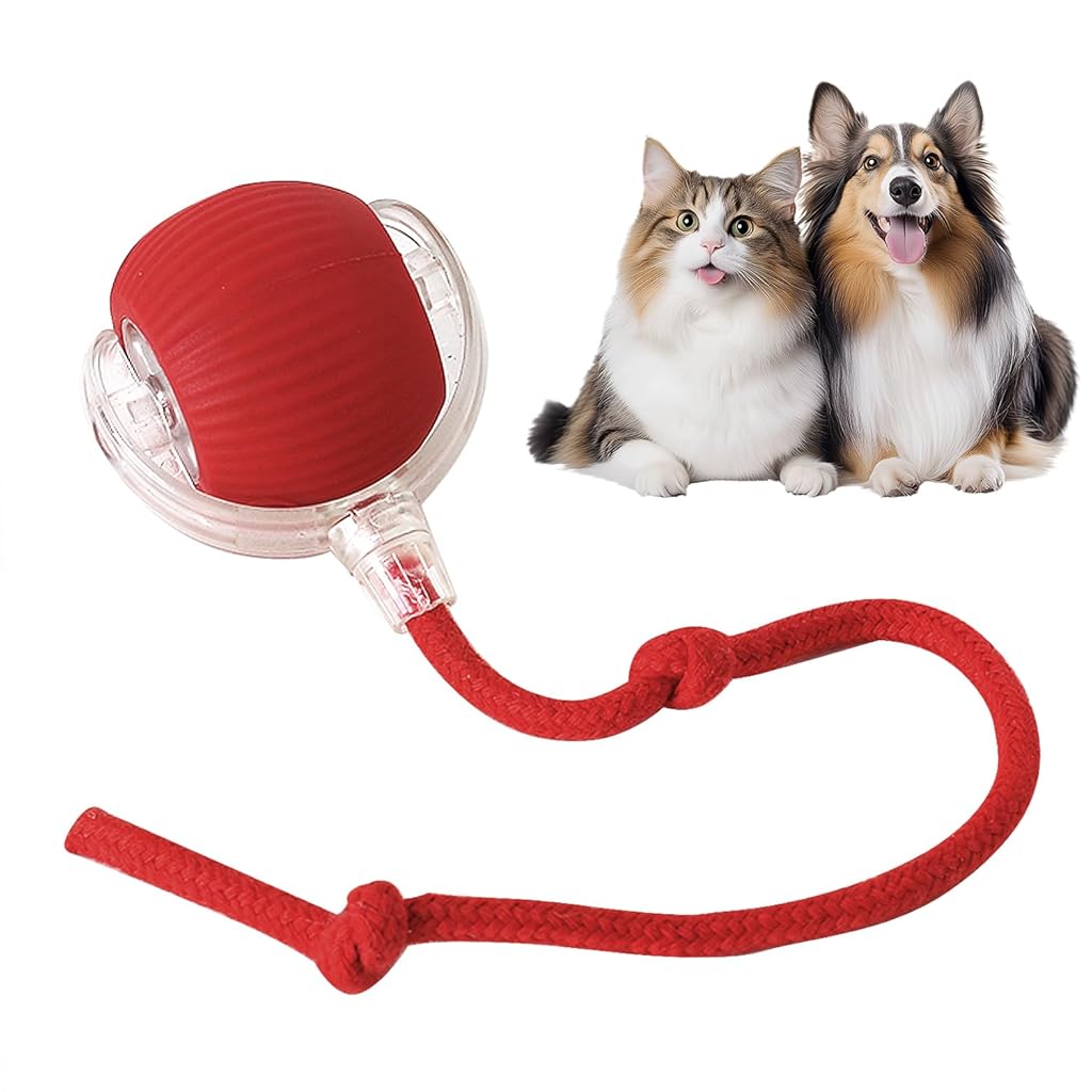ZIBUYU® Rolling Ball Interactive Cat Toys, Electric Toys for Dogs Rolling Ball with Speedy Tail Rope, Smart Automatic Moving Chase Ball with USB Rechargeable&Adjustable Speed for Dogs&Cats Pets(Red)