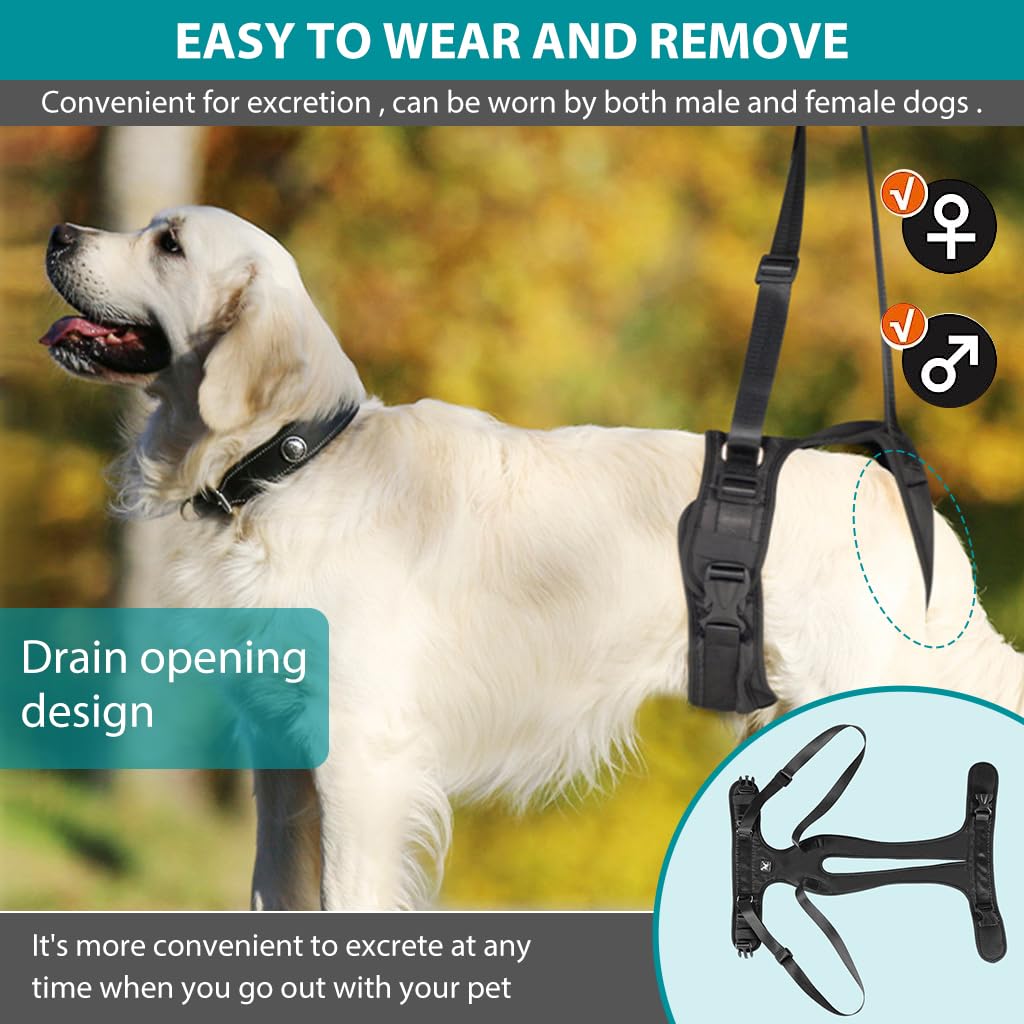 Qpets Dog Lift Harness for Rear Legs with Two Adjustable Lifting Straps 45–56cm Fit | Walking Support for Aging and Injured Dogs