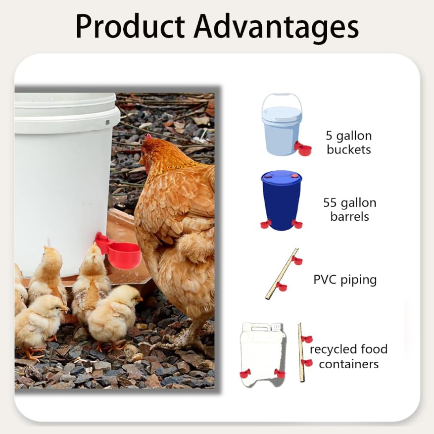 ZIBUYU Automatic Chicken Waterer Cups for Clean Hydration and Easy Backyard Flock Care