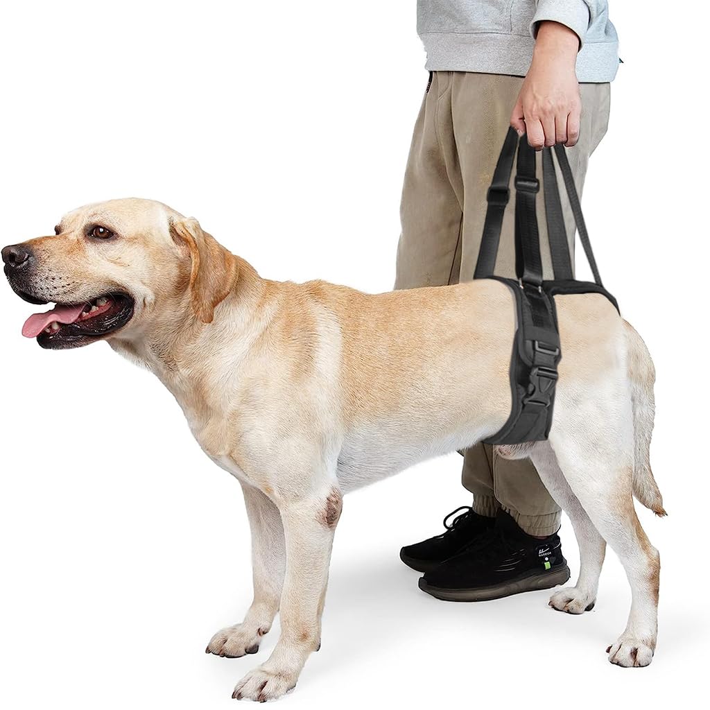 Qpets Dog Lift Harness for Rear Legs with Two Adjustable Lifting Straps 45–56cm Fit | Walking Support for Aging and Injured Dogs