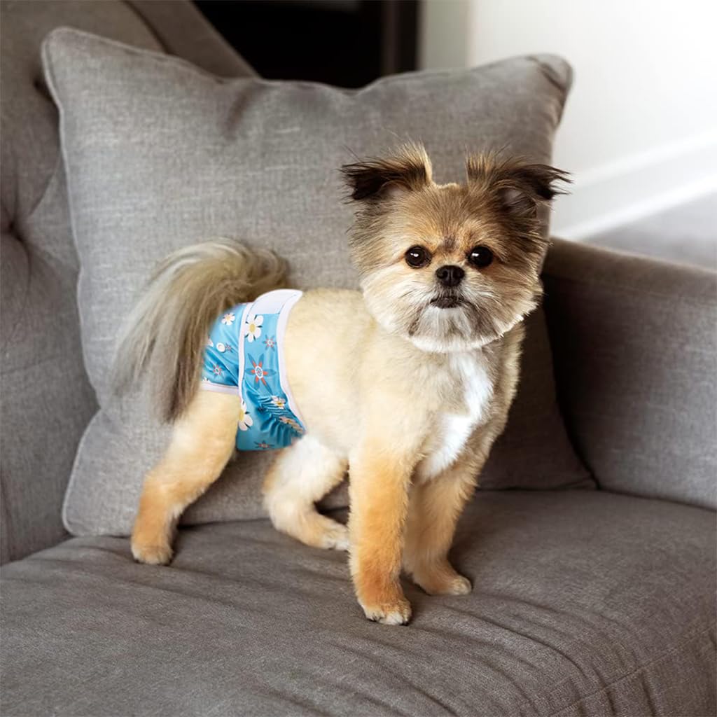 Qpets Washable Reusable Dog Diapers for Female Dogs with Elastic Waist 30–40cm | Leak-Free Absorbent Design