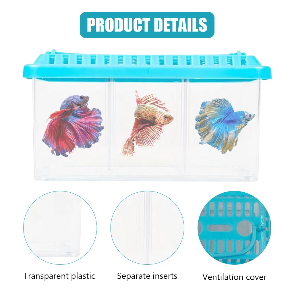 Qpets Mini Desk Fish Tank for Home or Office with 3 Layer Dividing Inserts and Air Lid | Clear Acrylic 9.5×19 cm