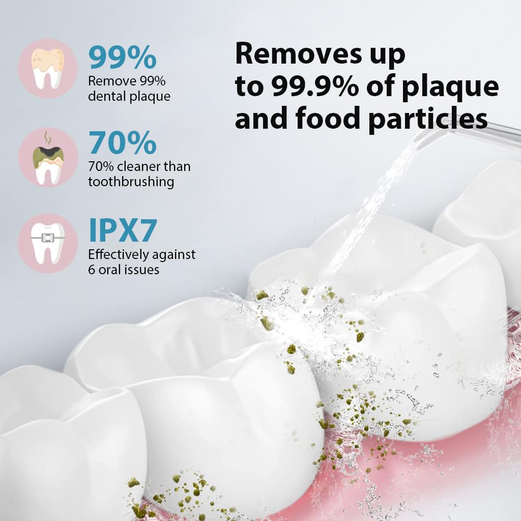 HANNEA Water Dental Flosser for Travel with 220ml Tank and 3 Modes | 4 Nozzles IPX7 Waterproof