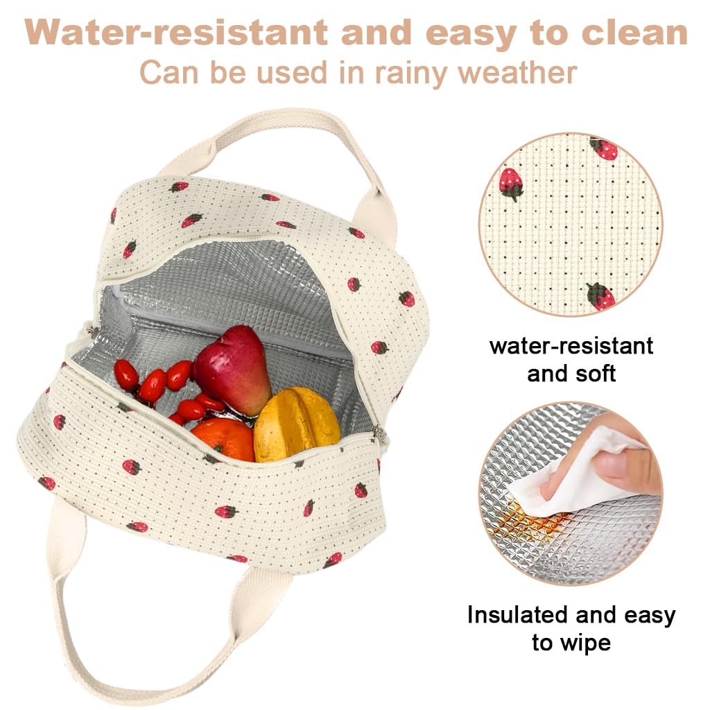 HASTHIP Insulated Lunch Bag for Office with Dual Zipper and 25.5x21x17cm Capacity | Corduroy Strawberry Design