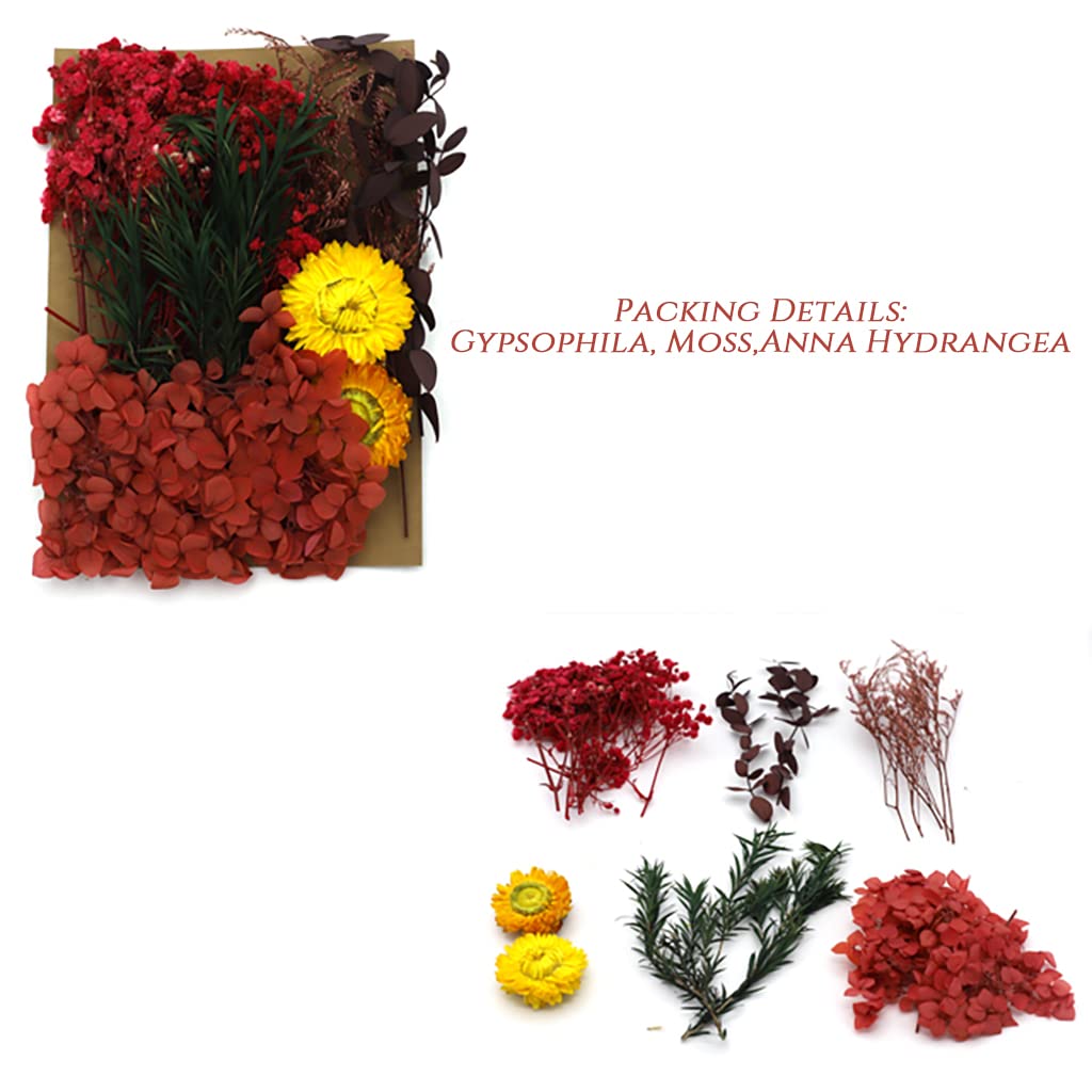 HASTHIP Natural Dried Flower Set for Resin Art and Room Decor featuring Air Dried Process
