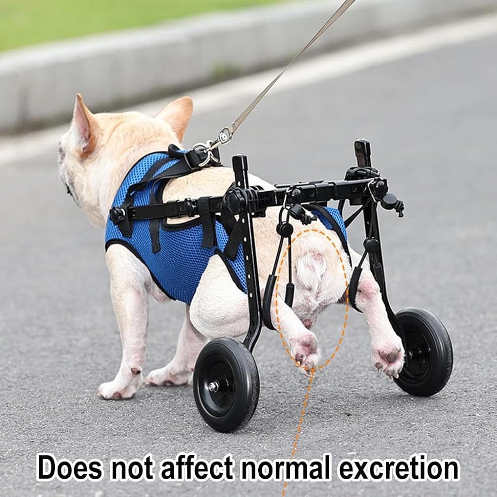 Qpets Dog Wheelchair for Back Legs featuring Double Ring Leash Design and Nylon Frame | Adjustable Fit for Small Disabled Dogs