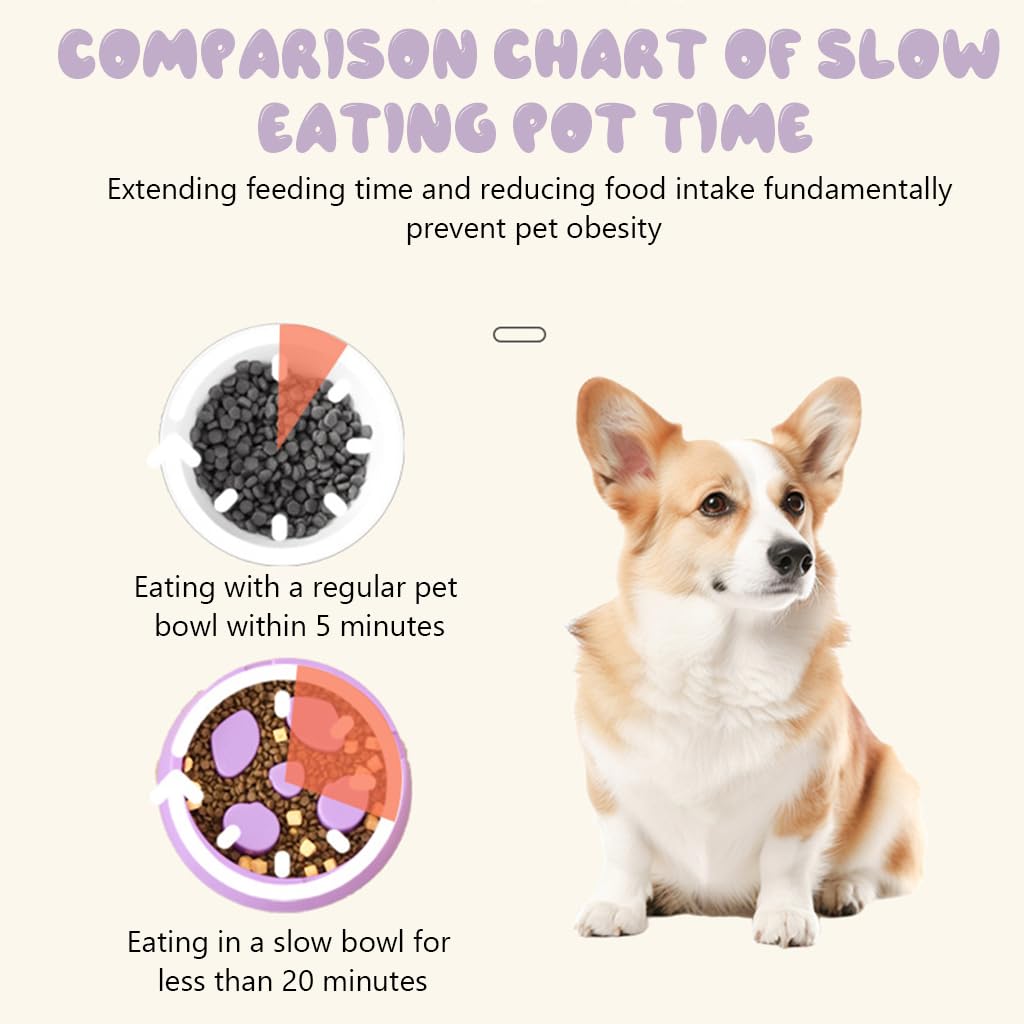 Qpets Dog Slow Feeder for Wet and Dry Food featuring Double Layer Design BPA Free Plastic 22.5x21x6.5cm