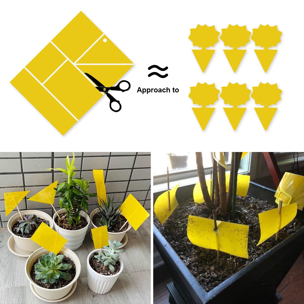 Optifit Fly Trap Kit 100 pcs 26 x 19 cm for Indoor and Greenhouse Use | Pesticide Free Sticky Trap