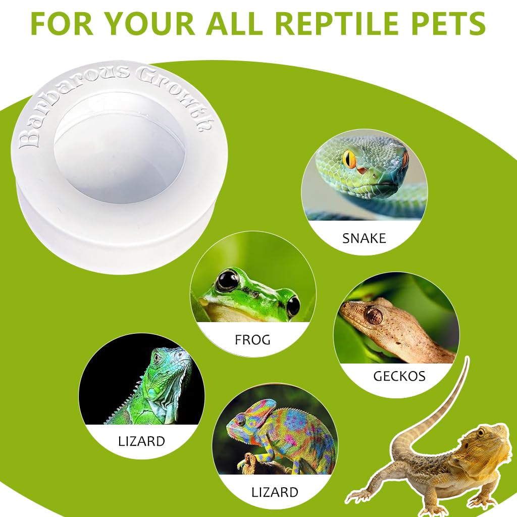 Qpets® Pets Food Boxes, PP Feeding Bowl for Reptiles Bearded Dragons Leopard Geckos Feeding Box for Worms, Insects, Anti-Leakage Feeding Box Water Bowl - 2Pcs