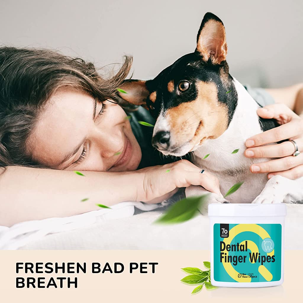 Qpets Pet Dental Wipes for Dogs and Cats with Finger-Sleeve Design 2 Pack 100 Count | Aloe Vera Formula