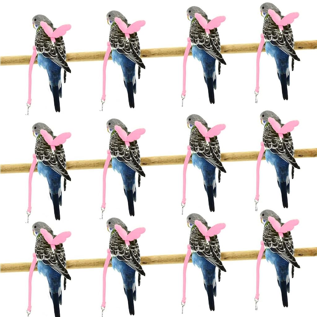 Qpets Parrot Bird Harness for Outdoor Flight with 2m Elastic Leash and Angel Wings | Pink M