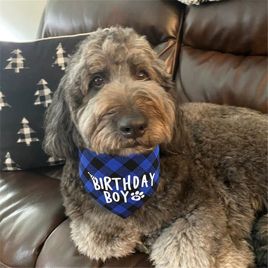 Qpets Dog Gifts Hat for Birthday with 40cm and 60cm Plaid Bandana | Blue Party Set