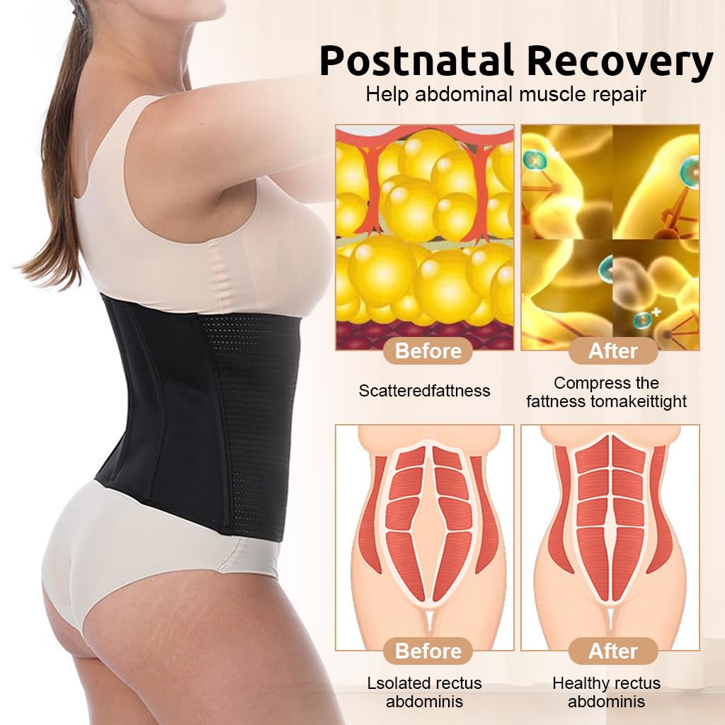Zibuyu Waist Trainer for Women with Zipper Compression and 84% Nylon 16% Spandex Support | Postpartum Recovery and Daily Fitness
