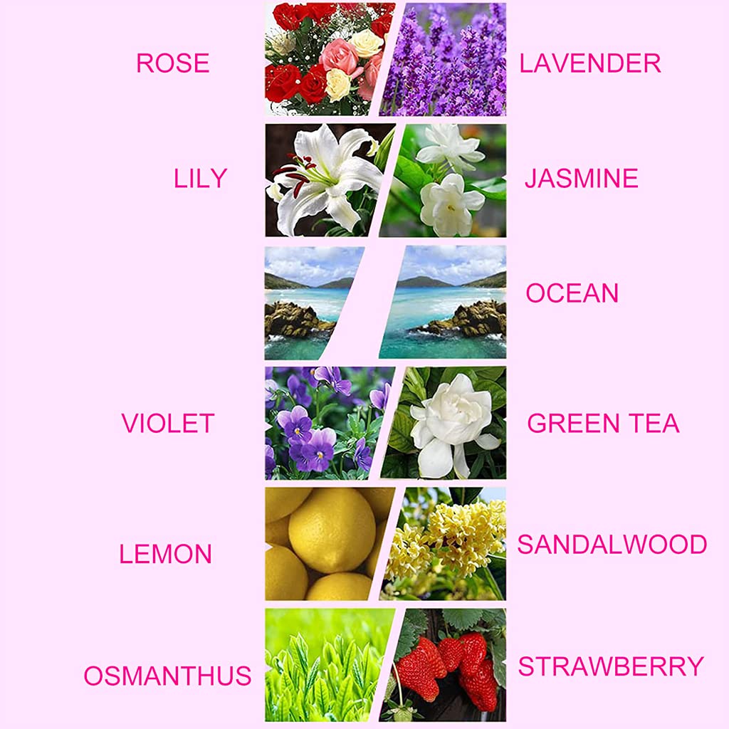 HASTHIP Aroma Diffuser Oil Set for Relaxing Home Use with 12 Natural Scents 3ml Each | Water Soluble