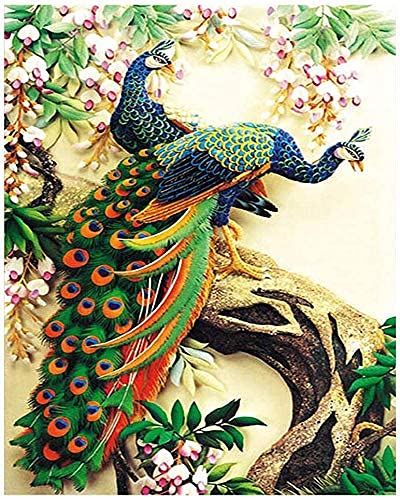 HASTHIP 5D Diamond Embroidery DIY Peacock Cross Stitch Craft Painting,Others