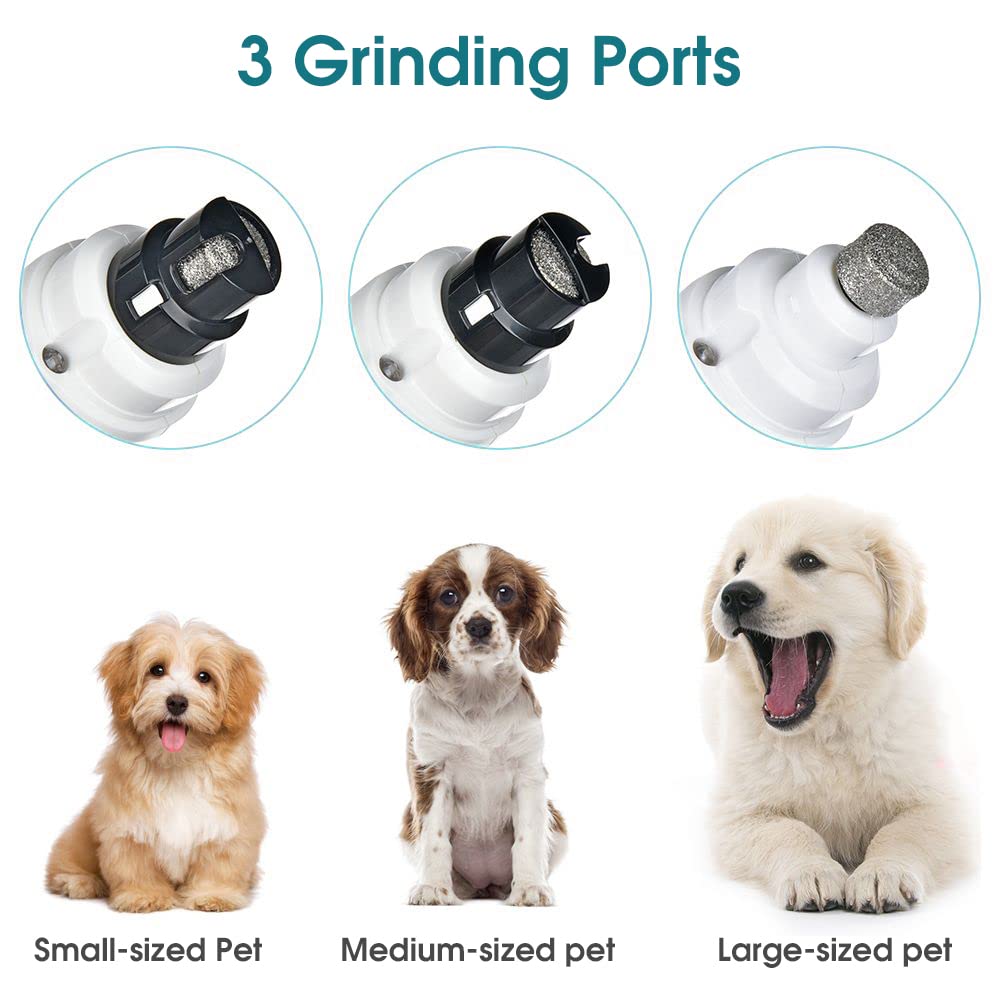 Qpets Dog Nail Trimmer with LED Light and 2-Speed 7000 RPM Motor | Rechargeable USB Pet Grinder