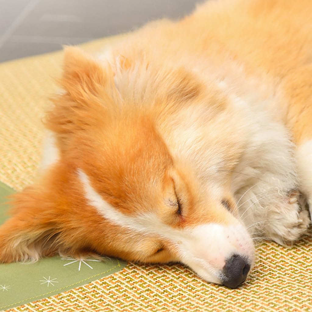 Qpets Dog Summer Mat for Indoor and Outdoor Use with Anti Slip Waterproof Bottom | 55x75CM Natural Rattan Cooling Surface