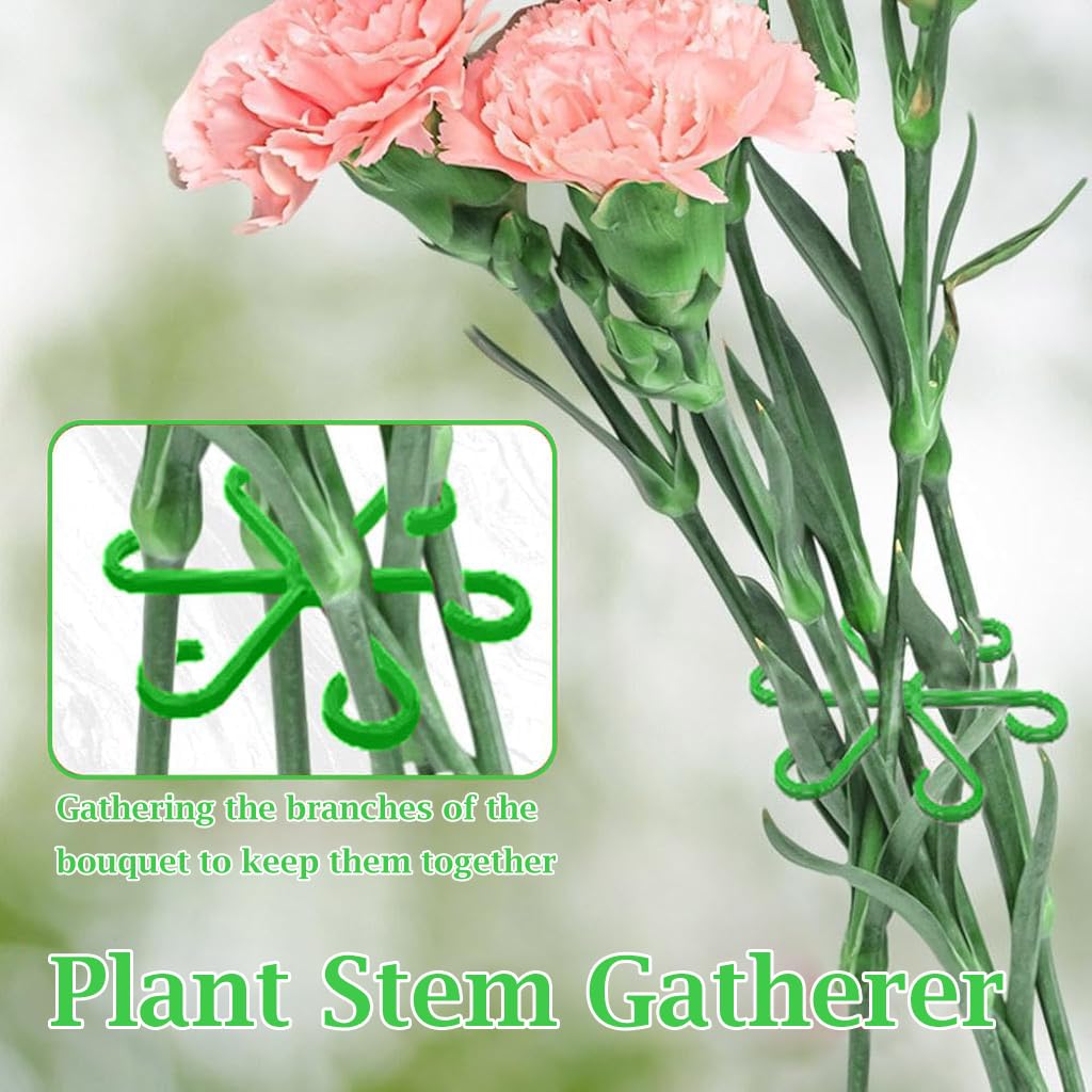 HASTHIP Plant Stem Supports for Climbing Plants featuring 6-Claw Design | 4 Pack Plastic