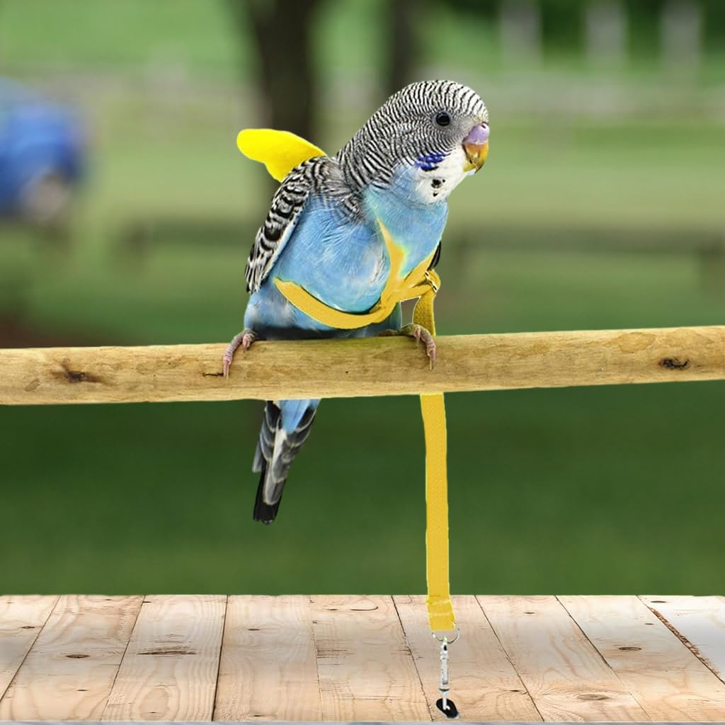 Qpets Parrot Bird Harness for Outdoor Flight Training with 2 m Elastic Leash and Cute Angel Wings | Yellow