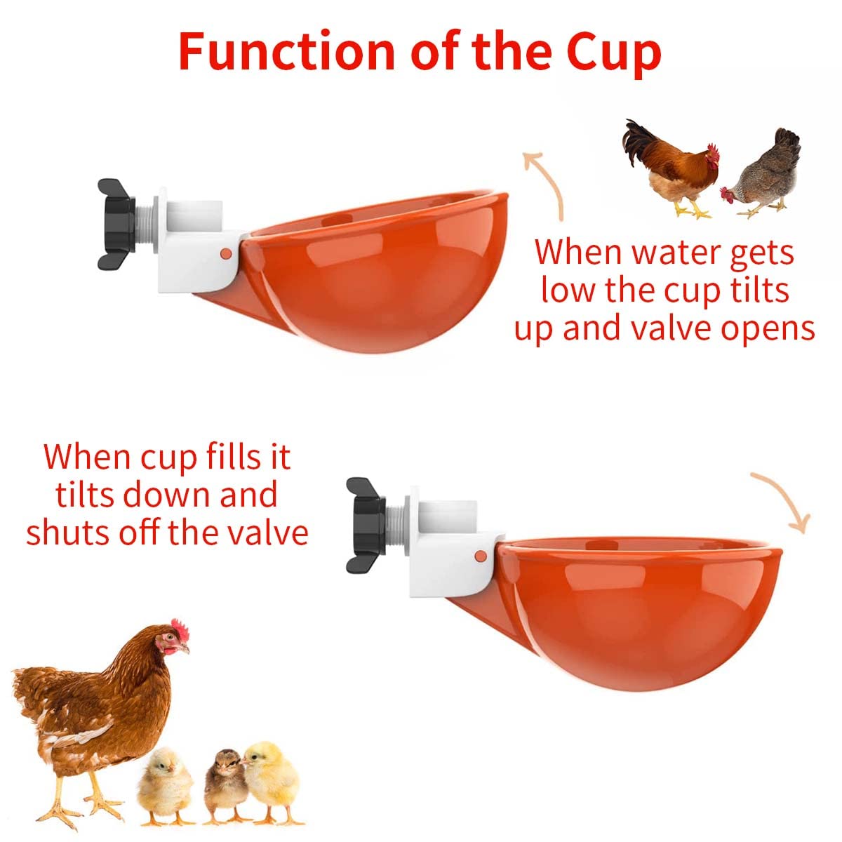 HASTHIP Pack of 5 Chicken Drinking Cup On Barrel Chicken Feeder and Drinker Auto Refill Water Chicken Duck Drinker Chicken Water Cup for Poultry Poultry Farm Equipment