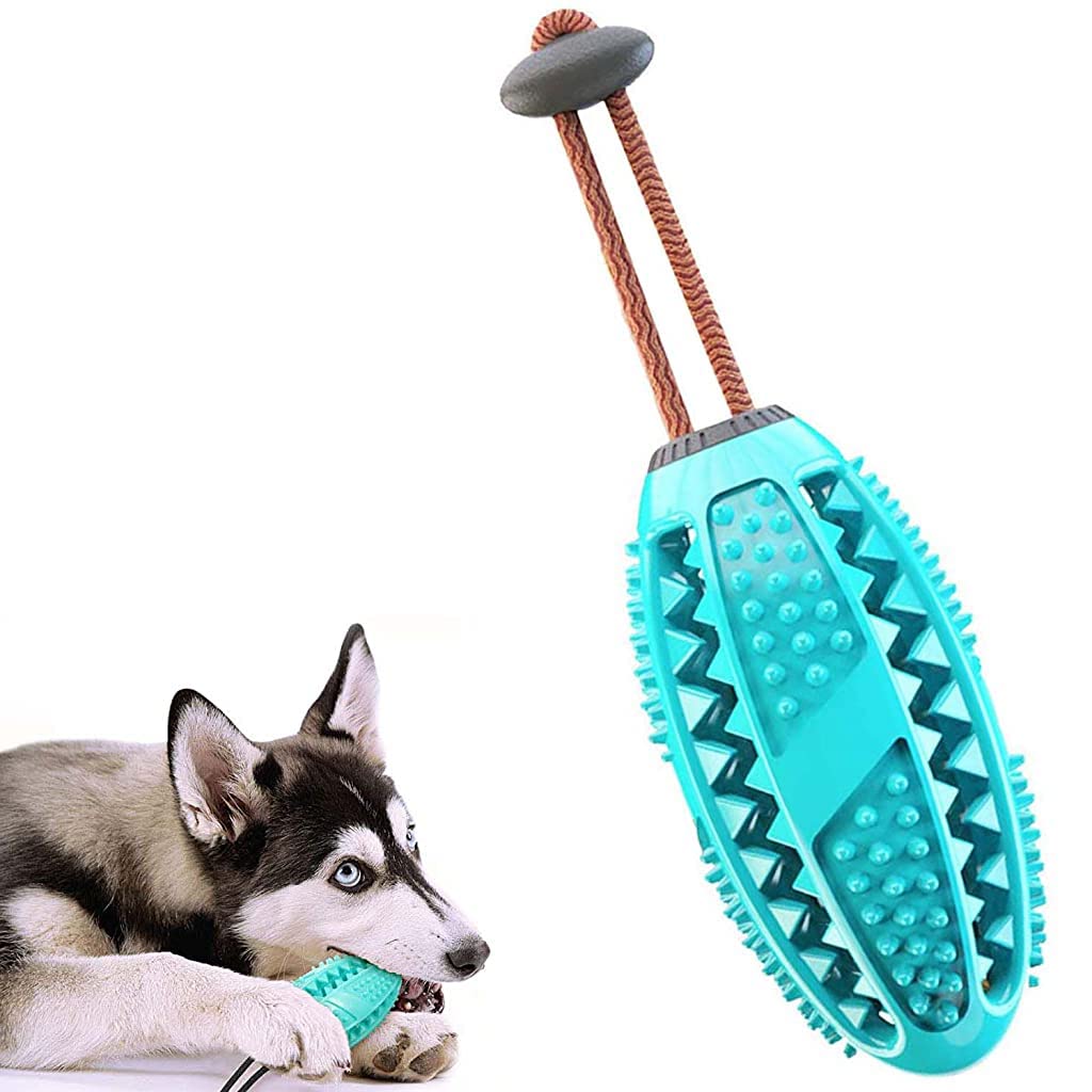 HASTHIP Dog Chew Toy for Dental Cleaning with 12 cm Molar Design & Safe TPR Material | Stress Relief for Puppies