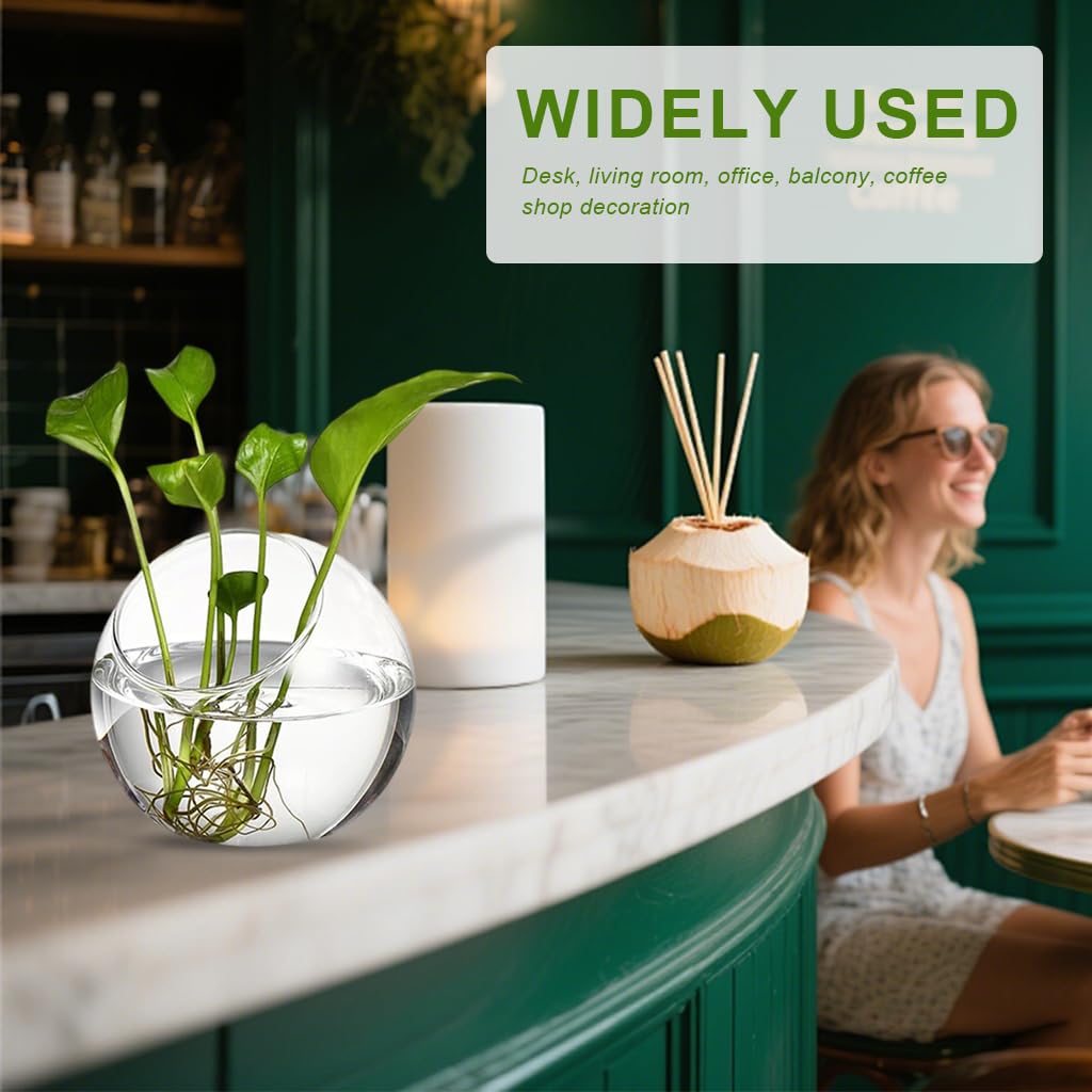 HASTHIP Glass Terrarium Container for DIY Mini Plant Display with Angled Opening | Clear Spherical Vase for Home Décor