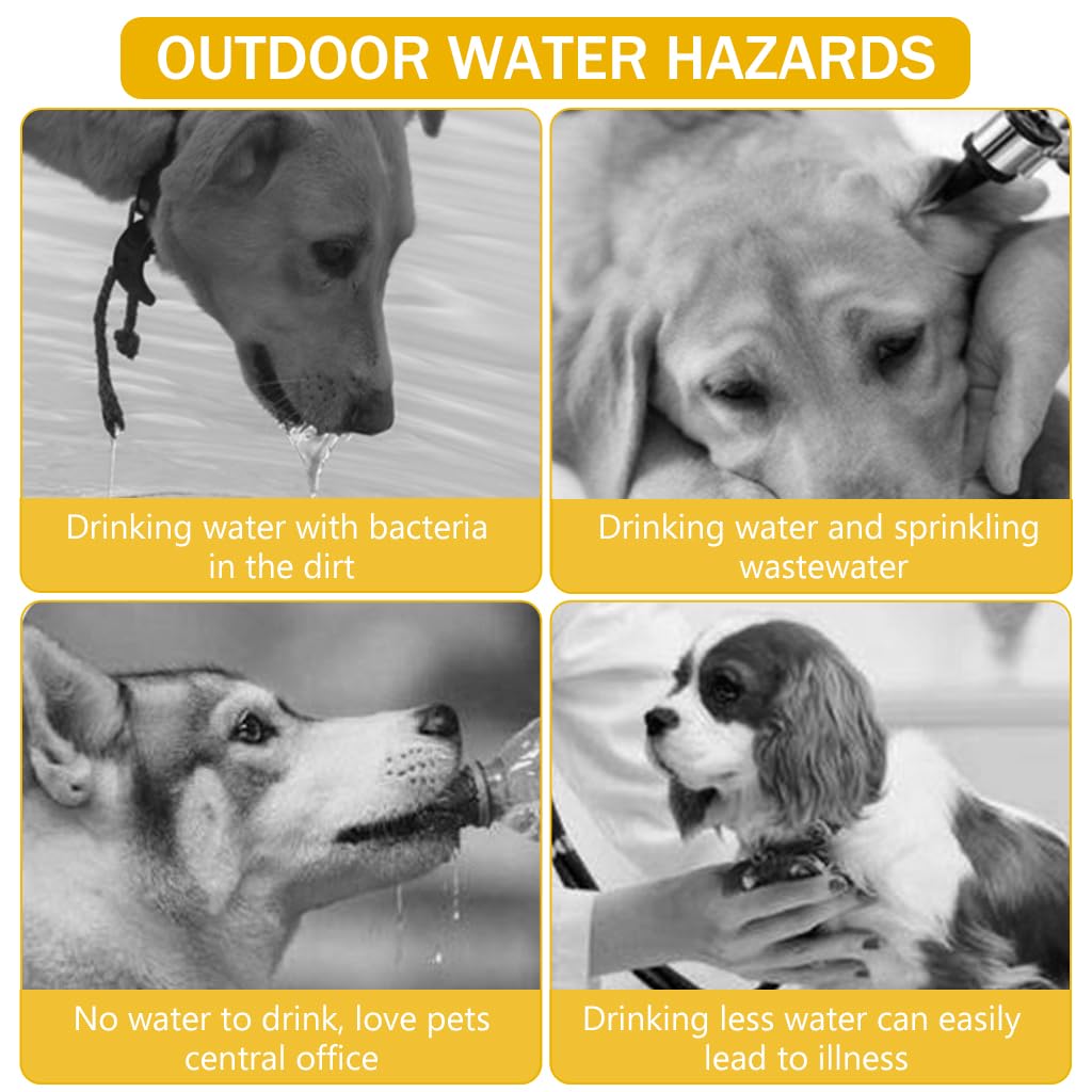 Qpets Dog Water Bottle for Travel with 380ml Capacity and Button Water Control | BPA Free