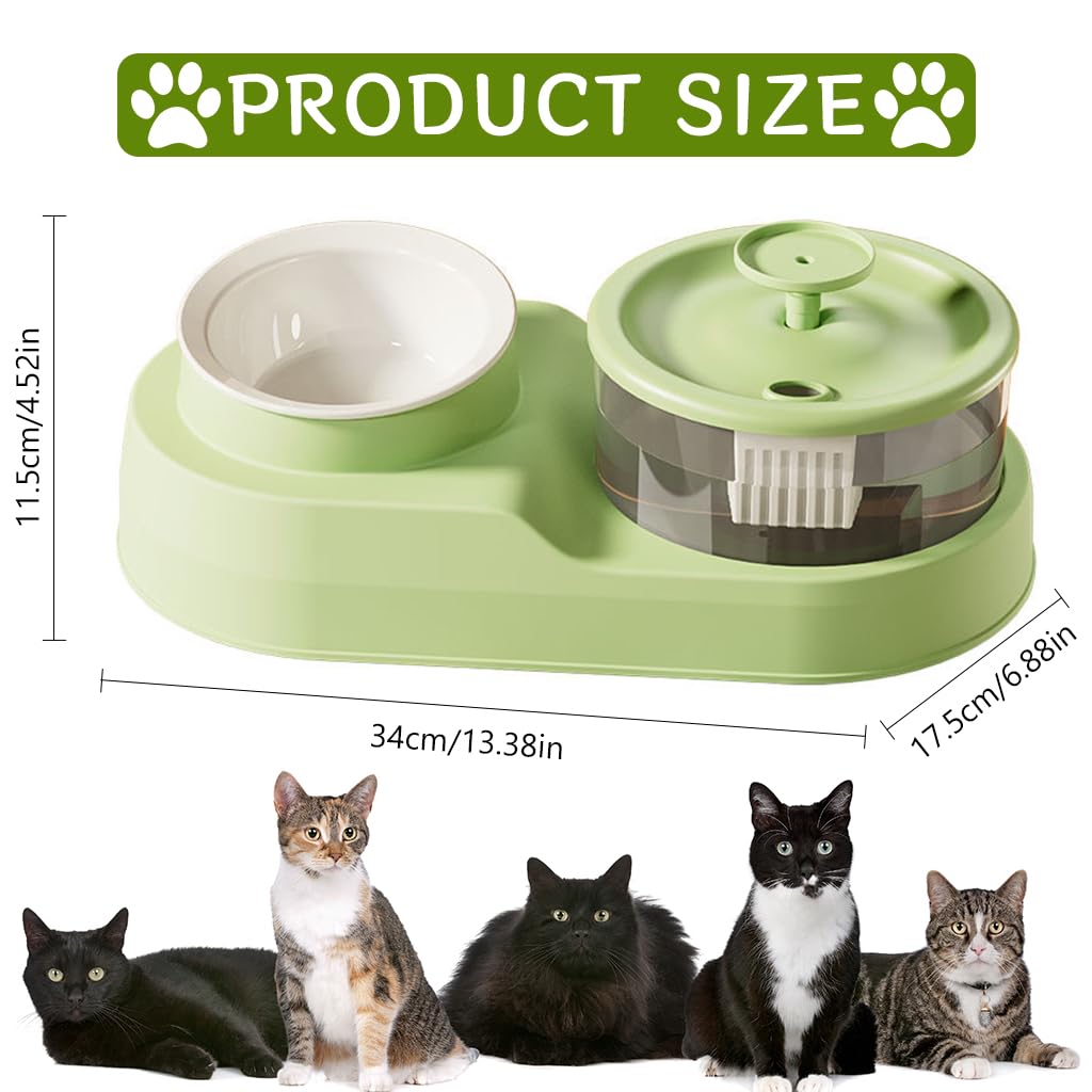 Qpets® Cat Food Bowls, 2 in 1 Cat Food Feeder and Water Dispenser, Cat Feeding Bowl with Electric Water Fountain 16° Tilted Food Bowl for Small and Medium Pets Cats Puppies