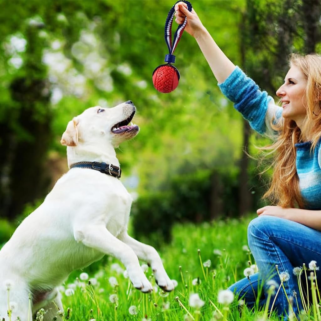 Qpets Dog Chew Toy Ball for Interactive Play with Nylon Braided Loop Handle and TPR Teething Relief