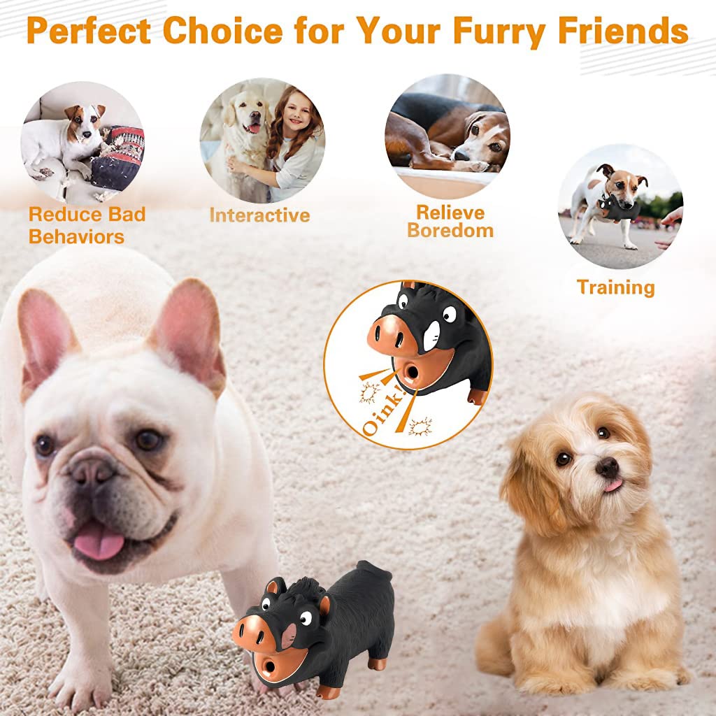 Qpets Squeaky Dog Toy for Interactive Play featuring Grunting Pig Sound and Soft Latex | Fun Fetch Training for Small and Medium Dogs