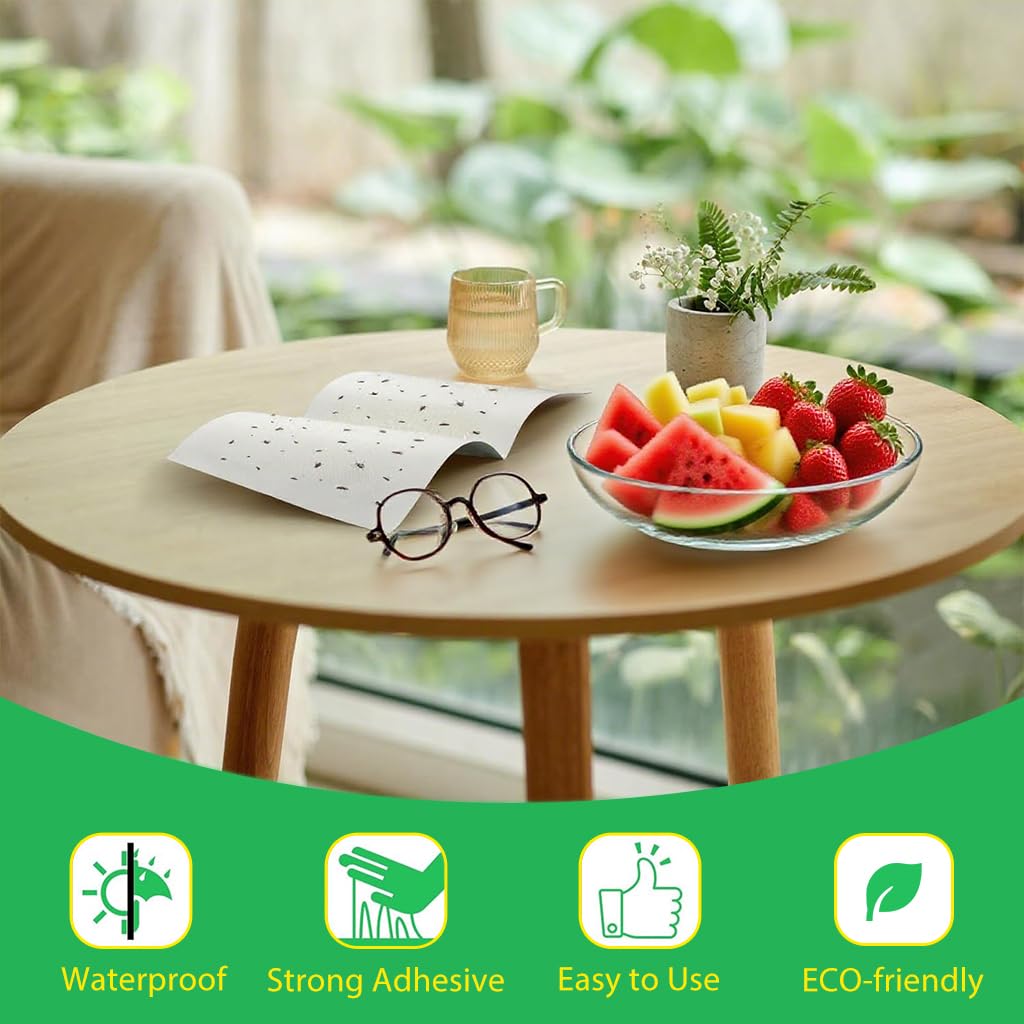 HASTHIP Adhesive Fly Trap for Kitchen and Garage with Large Surface Non-Toxic 10 Count | Odorless Insect Catcher