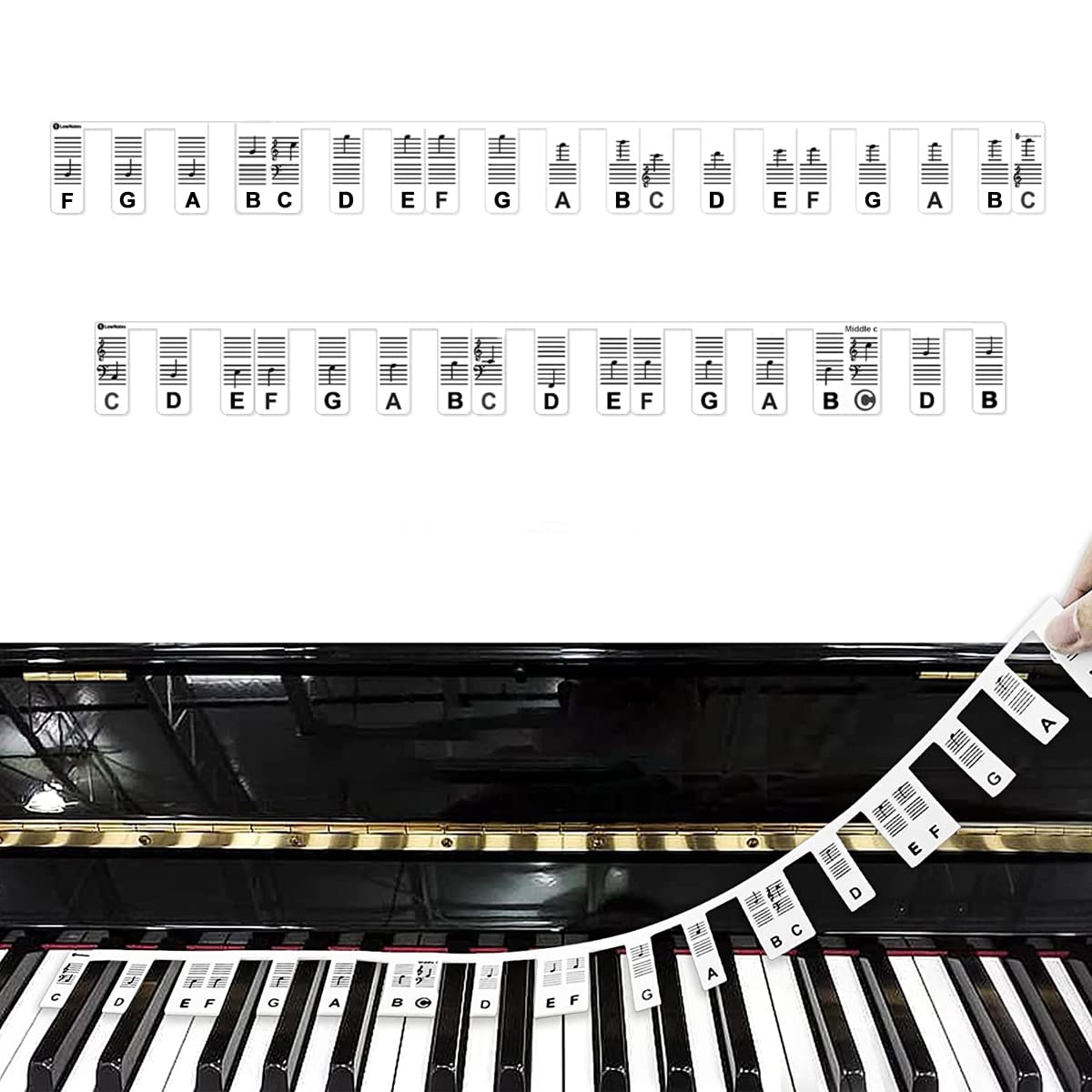 HASTHIP Silicone Piano Keyboard Labels for 61 Key Digital Piano with Removable Design | Practice Note Guide for Beginners