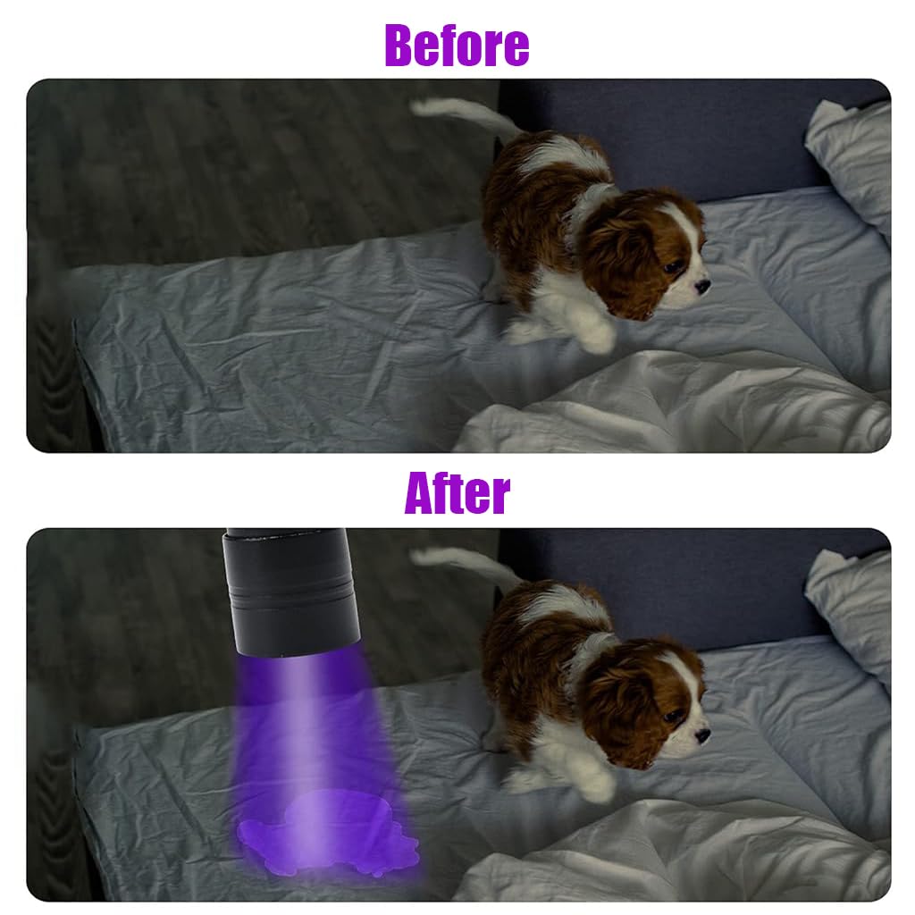 Optifit UV Flashlight for Pet Stain and Leak Detection with 12 LED 395nm Light | Aluminum Alloy Waterproof Design