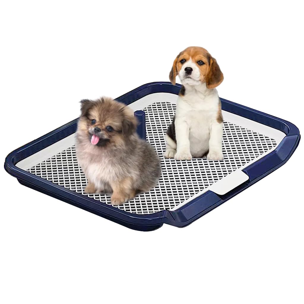 Qpets® 65 x 50cm Dog Poop Tray, Puppy Pee Poop Training Deck, Pee Pads for Dogs, Dog Pee Pads, Plastic Dog Pet Potty Indoor Training Toilet for Small and Medium Dogs, Easy to Clean