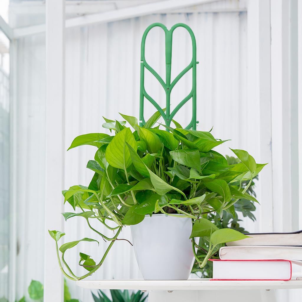 HASTHIP Plant Trellis for Climbing Plants with Connectable Design 6Pcs 10x35cm | Leaf Pattern Support