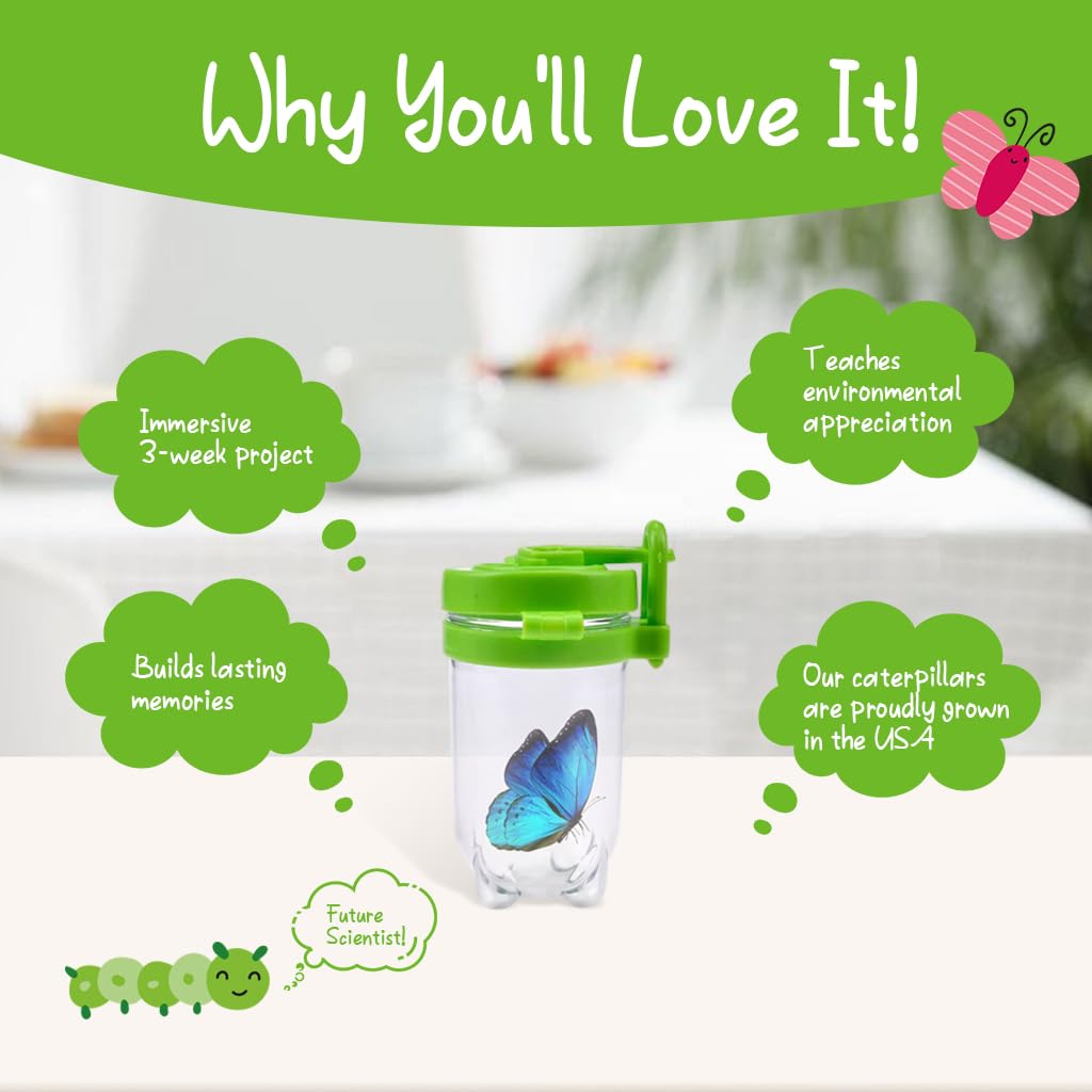 HASTHIP Bug Catching Tool Set for Kids with Magnifying Glass and Mesh Cage 6 Pcs | Outdoor Exploration Toy