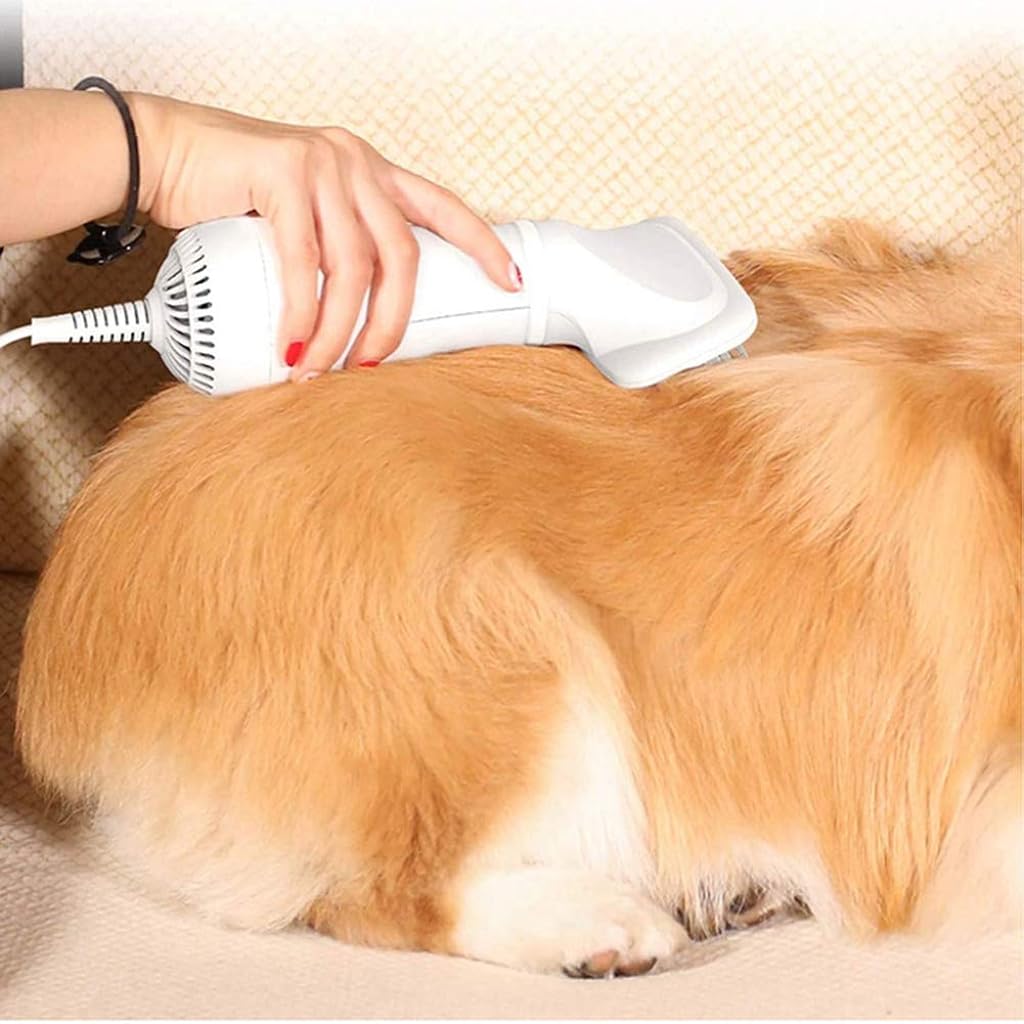 Qpets® Pet Hair Dryer, 2 in 1 Pet Grooming Dryer with Slicker Brush, 2 Adjustable Pet Grooming Blowing Dryer for Small & Large Cat Dog Shower & Bath Accessories