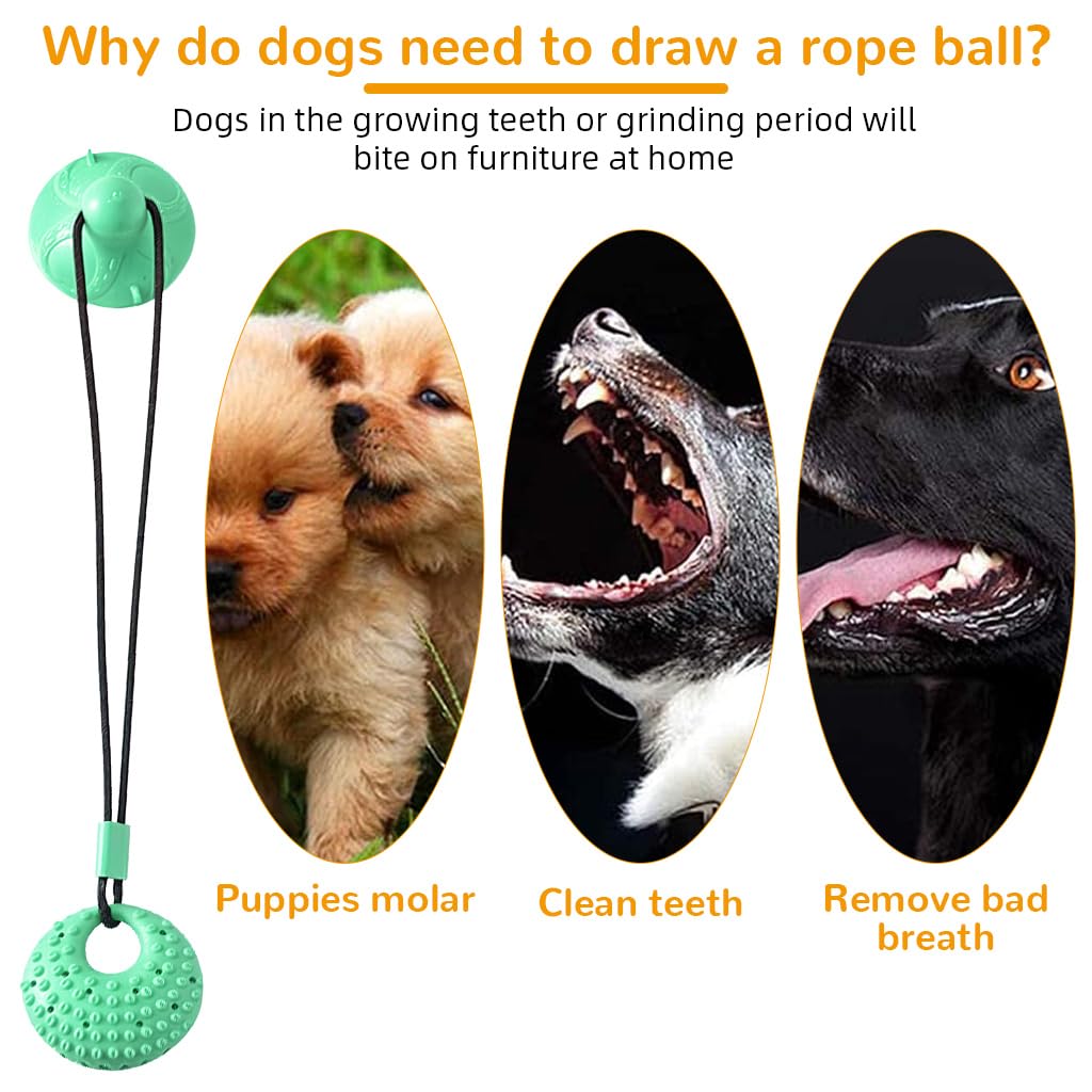 Qpets Dog Chew Toy for Self Play with Strong Suction Cup and TPR Tear Resistant Ball | Promotes Dental Health