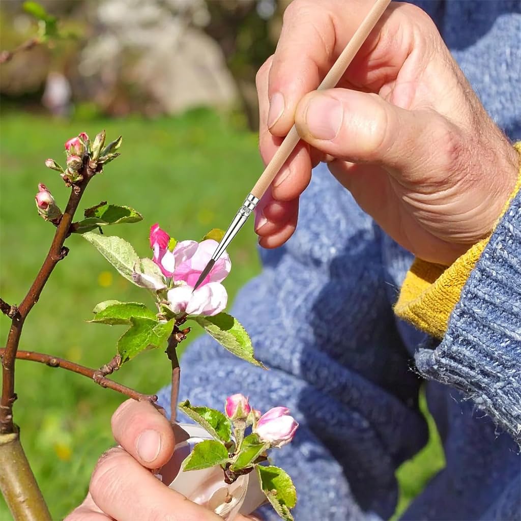 HASTHIP Pollinating Brush for Improving Pollination in Garden Flowers and Fruits | Handheld Tool
