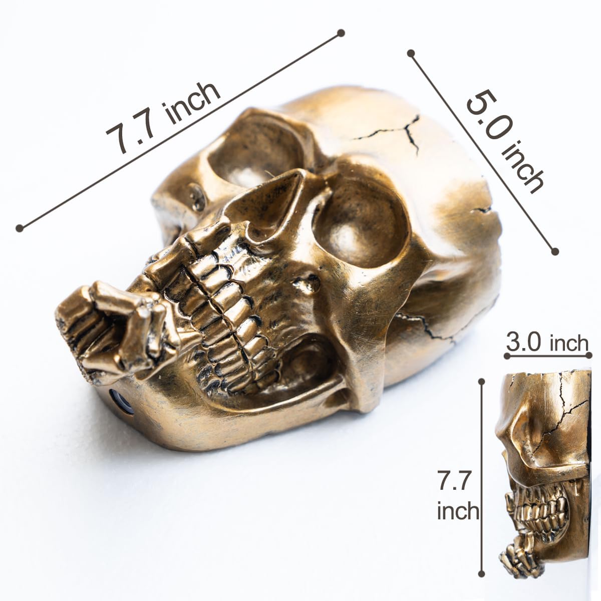 HASTHIP Halloween Skull Wall Planter for Garden Decor 12.5x19.5cm featuring Resin Body and Golden Finish | Gothic Room Accent