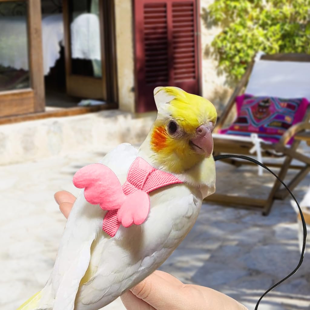 Qpets Parrot Bird Harness for Outdoor Flight with 2m Elastic Leash and Angel Wings | Pink M