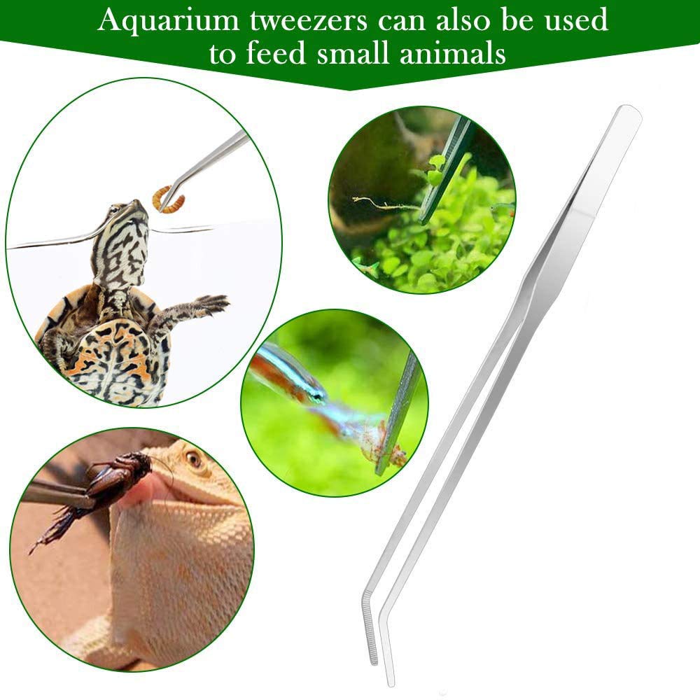 HASTHIP Tweezers for Aquarium with 27cm Curved Tip featuring Ergonomic Design & Stainless Steel | Ideal for Plant and Shrimp Tank Maintenance