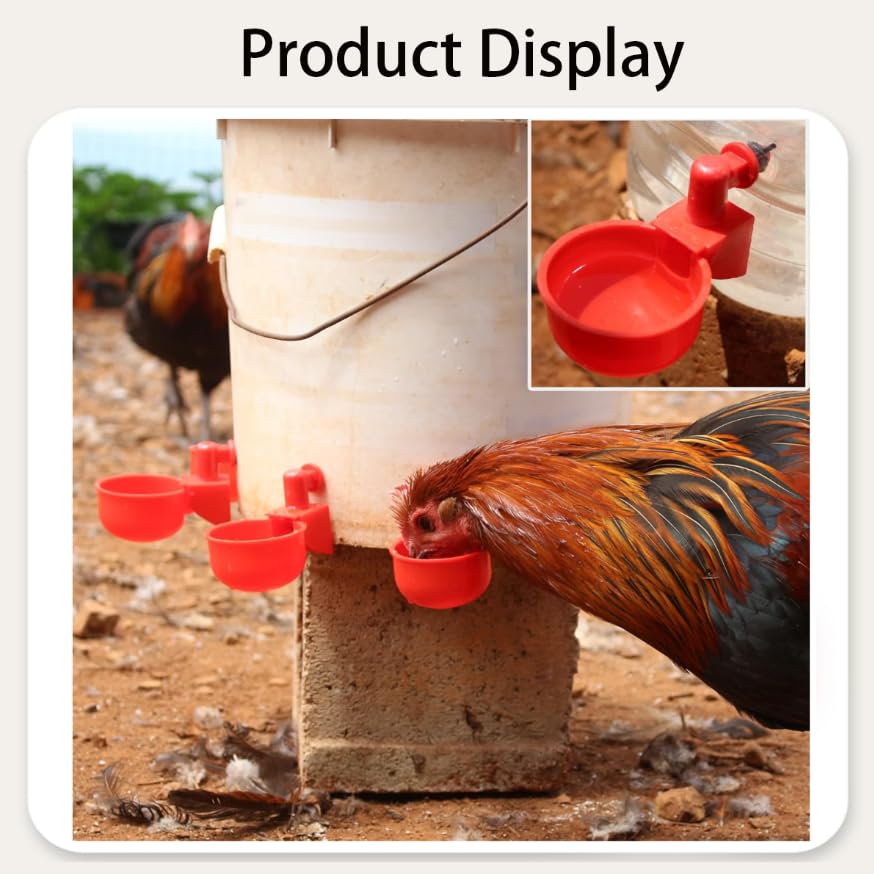 ZIBUYU Automatic Chicken Waterer Cups for Clean Hydration and Easy Backyard Flock Care